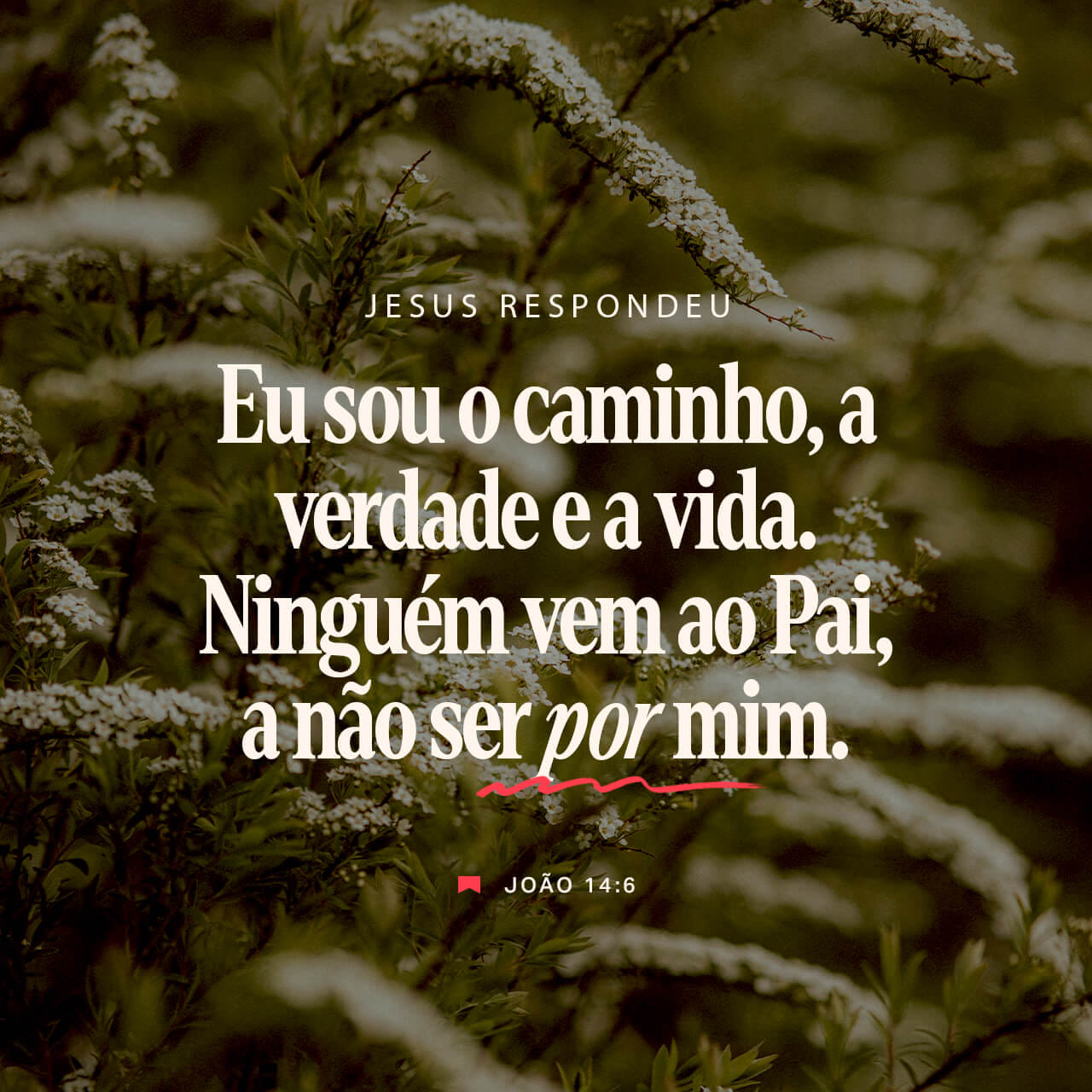 jesus disse: eu sou o caminho a verdade e a vida