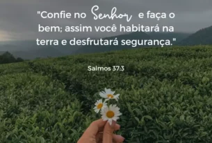 versiculo do dia 06/07/2025