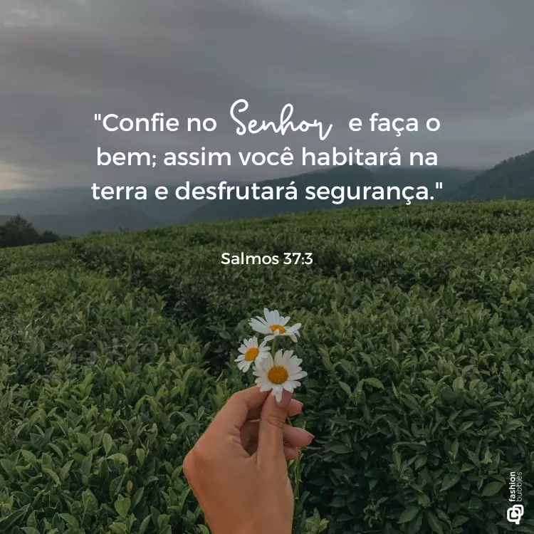 versiculo do dia 06/07/2025