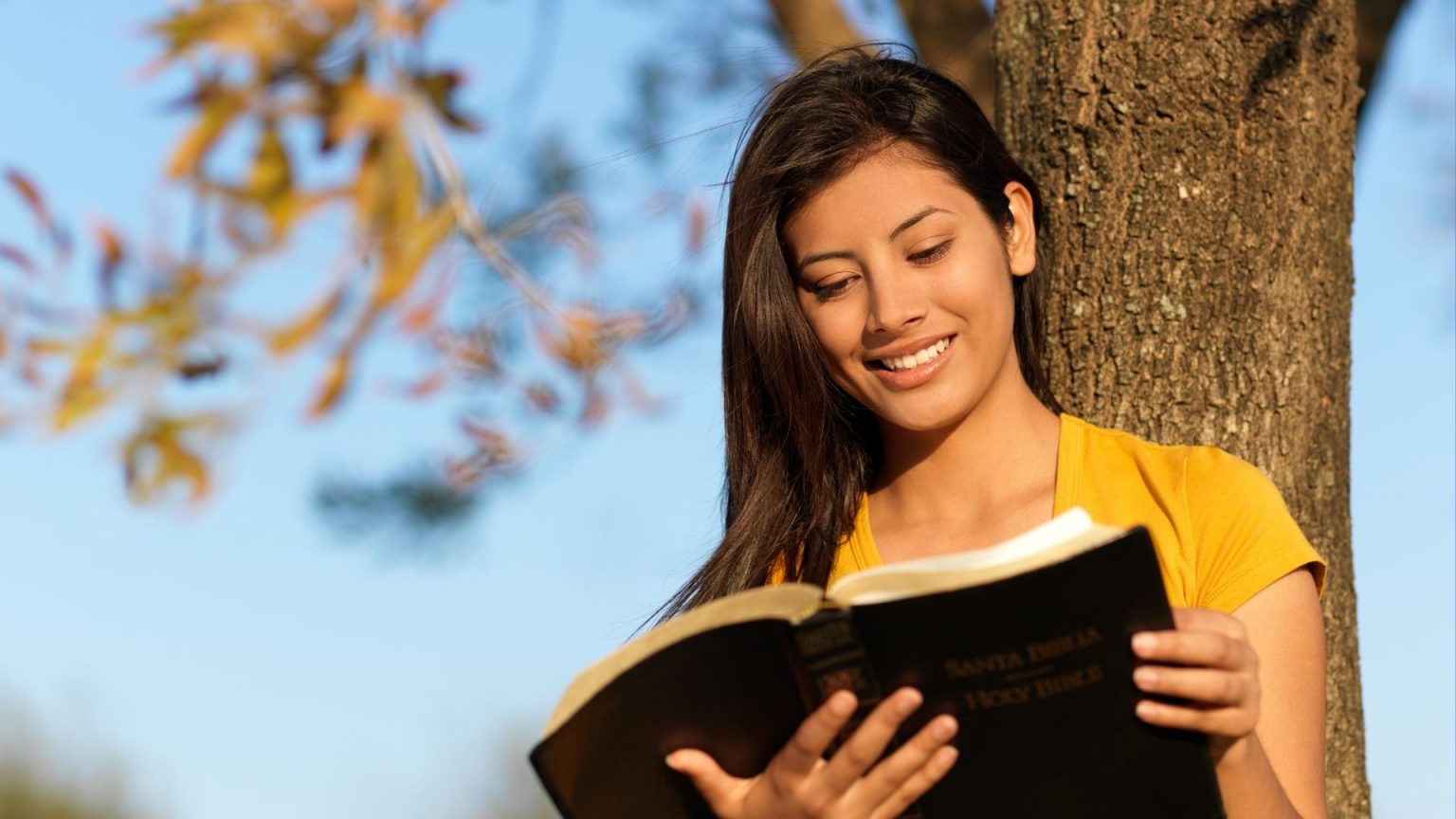 ano novo, direção e proposito